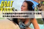 什么赚钱软件最好用赚的快支付宝（什么赚钱软件最好用赚的快支付宝提现）