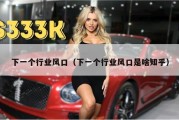 下一个行业风口（下一个行业风口是啥知乎）