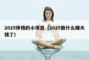 2025挣钱的小项目（2025做什么赚大钱了）