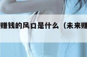 未来几年赚钱的风口是什么（未来赚钱的风口在哪里）