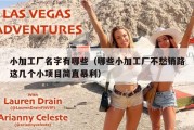 小加工厂名字有哪些（哪些小加工厂不愁销路这几个小项目简直暴利）