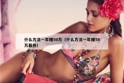 什么方法一年赚50万（什么方法一年赚50万最快）