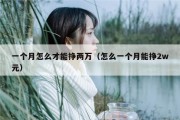 一个月怎么才能挣两万（怎么一个月能挣2w元）