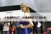小商品制作工厂（小商品制作工厂怎么样）