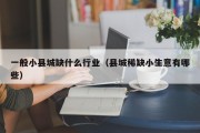 一般小县城缺什么行业（县城稀缺小生意有哪些）