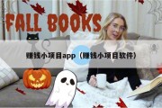 赚钱小项目app（赚钱小项目软件）