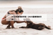 2025年赚钱的项目（2025最赚钱的行业）