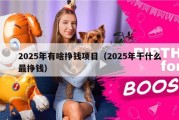 2025年有啥挣钱项目（2025年干什么最挣钱）