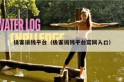 极客搞钱平台（极客搞钱平台官网入口）