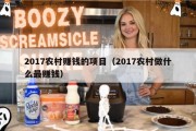 2017农村赚钱的项目（2017农村做什么最赚钱）