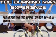 马云投资的农业项目有哪些（马云农业种植加盟项目）