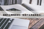 加盟什么赚钱投资小（加盟什么项目投资小）