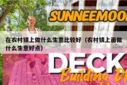 在农村镇上做什么生意比较好（农村镇上面做什么生意好点）
