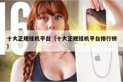 十大正规挂机平台（十大正规挂机平台排行榜）