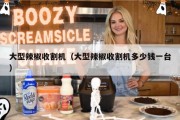 大型辣椒收割机（大型辣椒收割机多少钱一台）