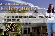 小红书app动态内容怎么输入（小红书怎么添加动态效果）