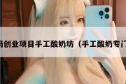 宝妈创业项目手工酸奶坊（手工酸奶专门店）