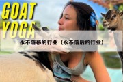 永不落幕的行业（永不落后的行业）
