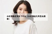 小红书最近发生了什么（小红书这几天怎么回事）