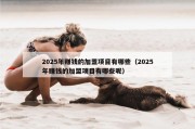 2025年赚钱的加盟项目有哪些（2025年赚钱的加盟项目有哪些呢）