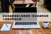签证自由职业收入来源说明（签证自由职业收入来源说明怎么填）