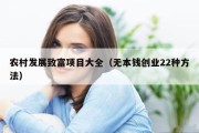 农村发展致富项目大全（无本钱创业22种方法）