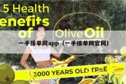 一手接单网app（一手接单网官网）