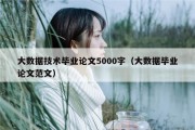 大数据技术毕业论文5000字（大数据毕业论文范文）