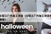 小型工厂代加工项目（小型工厂代加工项目有哪些）