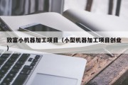 致富小机器加工项目（小型机器加工项目创业）
