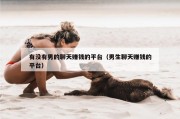 有没有男的聊天赚钱的平台（男生聊天赚钱的平台）