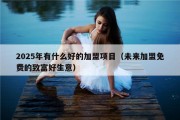 2025年有什么好的加盟项目（未来加盟免费的致富好生意）