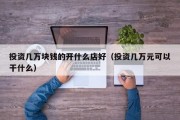 投资几万块钱的开什么店好（投资几万元可以干什么）