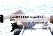 waves软件是干嘛的（waves是什么软件）