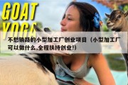 不愁销路的小型加工厂创业项目（小型加工厂可以做什么,全程扶持创业!）