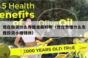 现在投资什么养殖业最好呢（现在养殖什么东西投资小赚钱快）