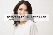北方缺少的生意十大行业（北方什么行业发展比较好）
