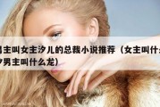 男主叫女主汐儿的总裁小说推荐（女主叫什么汐男主叫什么龙）