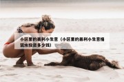 小区里的暴利小生意（小区里的暴利小生意桶装水投资多少钱）