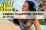 未来赚钱的十大行业排行榜最新（未来赚钱行业12个行业）