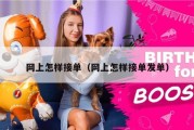 网上怎样接单（网上怎样接单发单）