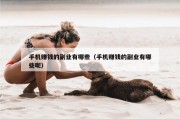 手机赚钱的副业有哪些（手机赚钱的副业有哪些呢）