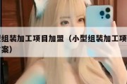 小型组装加工项目加盟（小型组装加工项目加盟方案）