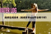 维修在线接单（维修接单app平台哪个好）