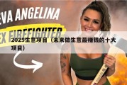 2025生意项目（未来做生意最赚钱的十大项目）
