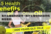 有什么赚钱快的软件（有什么赚钱快的软件吗微信提现）