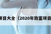 致富项目大全（2020年致富项目大全）