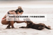今年做什么生意容易赚钱（今年做啥生意赚钱）