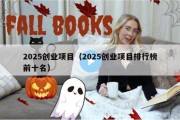 2025创业项目（2025创业项目排行榜前十名）