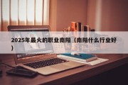 2025年最火的职业南阳（南阳什么行业好）